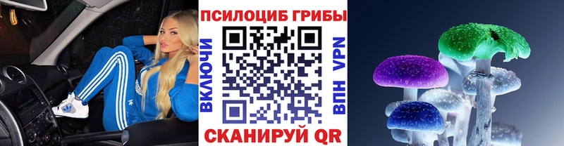 наркотики  Людиново  Галлюциногенные грибы MAGIC MUSHROOMS 
